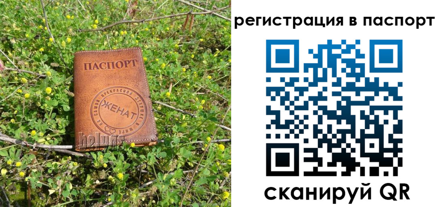 прописка законно в Городце